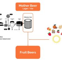 CBS BREW | Fruit Beer Creation | BELGIUM